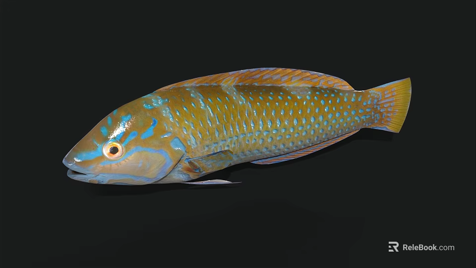 Vibrant Blue And Yellow Spotted Tropical Marine Aquatic Animal With Colorful Scales And Sleek Body 3d model 