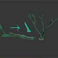 Natural Dried Tree Branches And Wooden Stems For Decorative Plant Arrangement