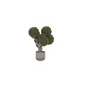 Bonsai Plant with Twisted Trunk and Round Foliage in Cylindrical Gray Pot
