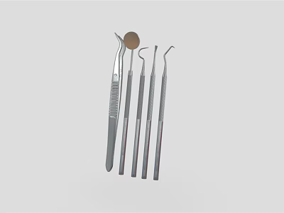Stainless Steel Dental Medical Instruments Professional Examination Tools Set for Oral Care 3d model