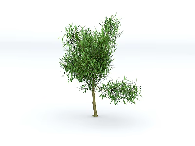 Healthy Green Shrub with Lush Foliage and Dense Green Leaves in Natural Growth Form 3d model