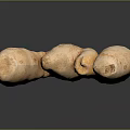Fresh Raw Ginger Root Natural Vegetable Isolated on Gray Background 3d model