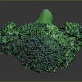 Vibrant Fresh Green Broccoli Florets Close Up View Isolated On Dark Background