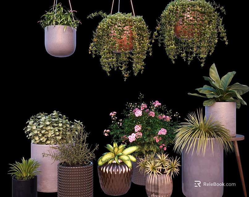 Bonsai And Potted Plants With Hanging Floor Placed Varieties In Ceramic Woven Planters 3d model 
