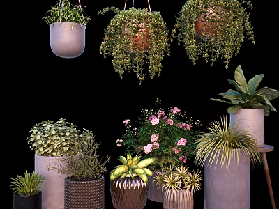 Bonsai And Potted Plants With Hanging Floor Placed Varieties In Ceramic Woven Planters 3d model
