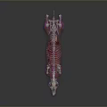 Transparent Dog Skeleton Model as Medical Device for Veterinary Anatomical Education