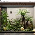 Indoor Greenery Display With Ferns Palm Plants Stone And Lighted Spheres In Glass Case