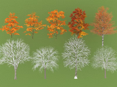 Various Autumn Colored And Snow Covered Trees Displayed On Green Background 3d model
