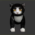 Cute Black and White Kitten With Yellow Eyes Standing On Gray Background