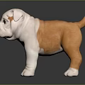 3D Bulldog Puppy Character With Orange And White Fur Standing On Shiny Surface