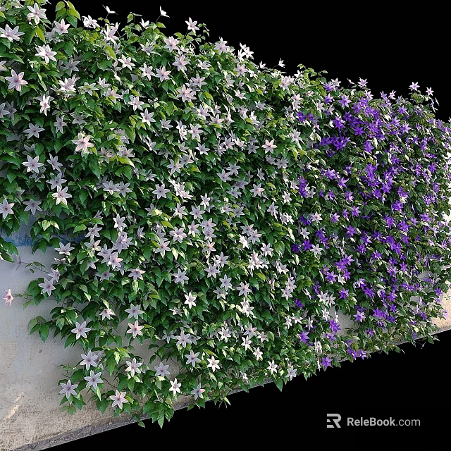Climbing Vines With White And Purple Flowers On Green Leafy Wall 3d model 