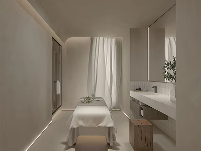 Modern Light Colored SPA Sauna Interior With Massage Bed Mirror Sink And Plant 3d model