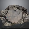 Wood and Stone Material Samples Featuring Varied Shapes Textures and Labels