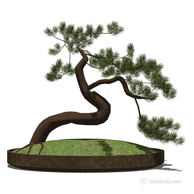 Artistic Bonsai Tree With Curved Trunk Green Pine Needles And Round Pot Base 3d model 