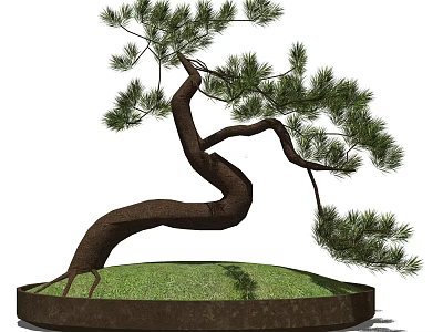 Artistic Bonsai Tree With Curved Trunk Green Pine Needles And Round Pot Base 3d model