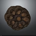 Natural Dried Lotus Seed Pod With Edible Seeds And Healthy Food Texture