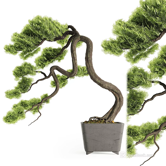 Artistic Bonsai Potted Plant With Curved Trunk Lush Foliage In Gray Ceramic Pot 3d model 