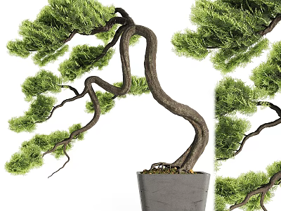 Artistic Bonsai Potted Plant With Curved Trunk Lush Foliage In Gray Ceramic Pot 3d model