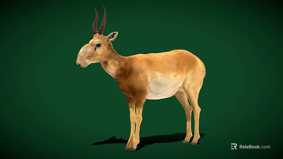 Saiga Antelope Standing On Green Background With Brown Coat Long Nose And Curved Horns 3d model 