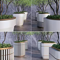 Various Modern Tree Planter Designs With Green Trees And Outdoor Settings 3d model
