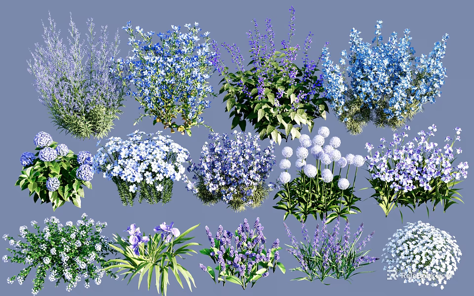 Colorful Ground Cover Plants With Purple Flowers Blue Blooms White Clusters And Lush Foliage 3d model 