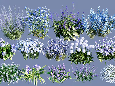 Colorful Ground Cover Plants With Purple Flowers Blue Blooms White Clusters And Lush Foliage 3d model