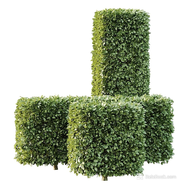 Modern Green Plant Wall Design With Cube Shaped Foliage Structures For Decoration 3d model 