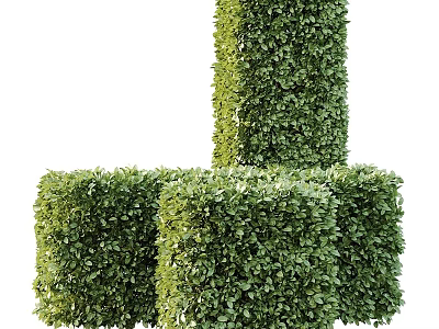 Modern Green Plant Wall Design With Cube Shaped Foliage Structures For Decoration 3d model