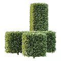 Modern Green Plant Wall Design With Cube Shaped Foliage Structures For Decoration 3d model