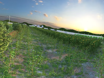 Gorgeous Sunset View Of Neatly Arranged Lush Crops Farm Field In Serene Open Countryside 3d model
