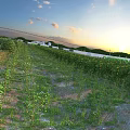 Gorgeous Sunset View Of Neatly Arranged Lush Crops Farm Field In Serene Open Countryside