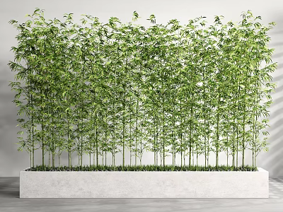 Lush Green Bamboo Plants With Fresh Leaves Creating Natural Garden Screen 3d model