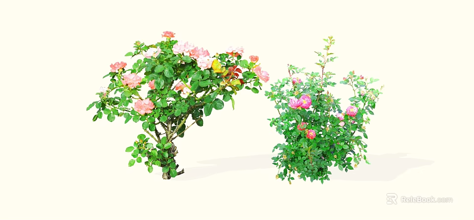 Vibrant Flower Bushes With Pink White And Colorful Blooms And Lush Green Leaves 3d model 