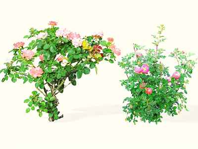 Vibrant Flower Bushes With Pink White And Colorful Blooms And Lush Green Leaves 3d model