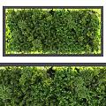 Lush Plants Decorative Greenery Wall Design 3d model