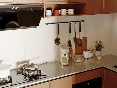 Modern Kitchen With Wooden Cabinets Hanging Utensils Countertop Dishes And Small Plant 3d model