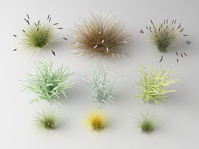 Various Types of Natural Grasses With Different Colors Textures and Shapes 3d model