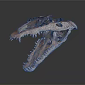 Detailed Dinosaur Skull Organ Anatomy With Sharp Teeth And Hair Traces
