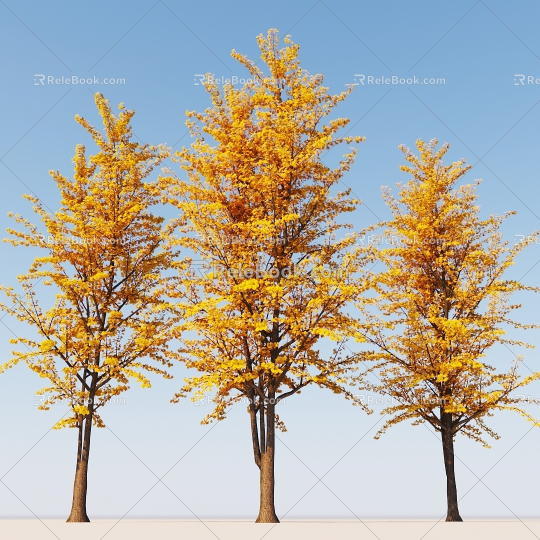 tree ginkgo tree 3d model