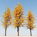 tree ginkgo tree 3d model