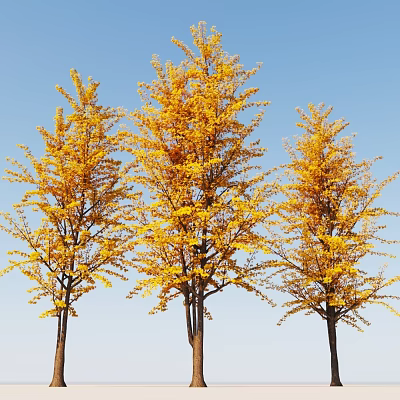 Three Tall Trees With Golden Leaves Under Clear Blue Sky 3d model