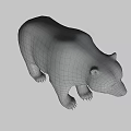 Realistic Brown Bear Standing On White Background With Detailed Fur And Posture