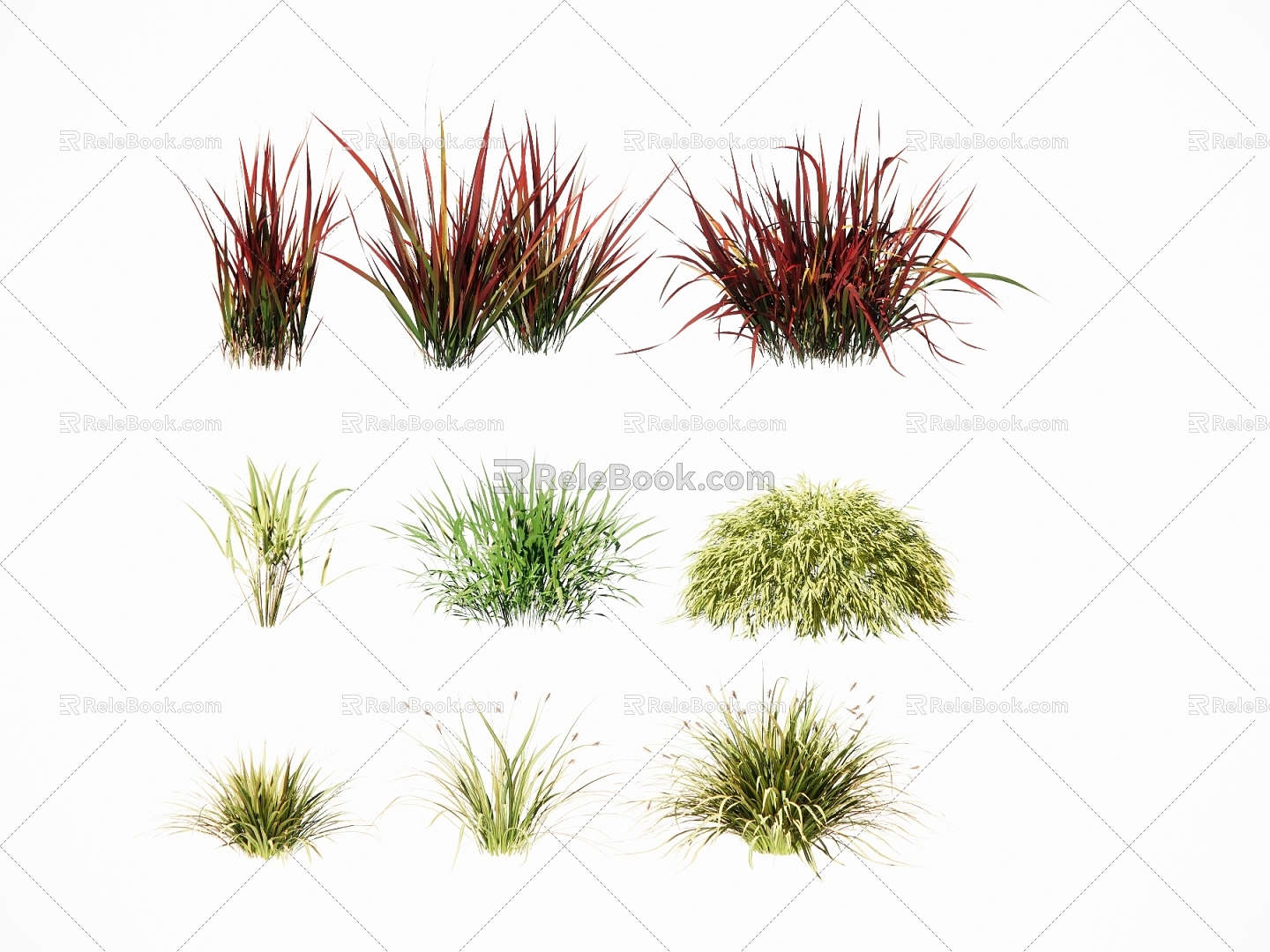 Landscape Plants Ornamental Grass Grass Flower Landscape Grass Miscanthus Landscape Lawn model