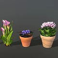 Colorful Garden Decor With Various Potted Flowers And Ceramic Woven Planters