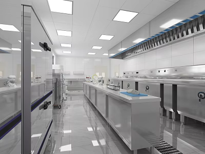 Modern Commercial Kitchen With Stainless Steel Counters Appliances And Bright Lighting 3d model