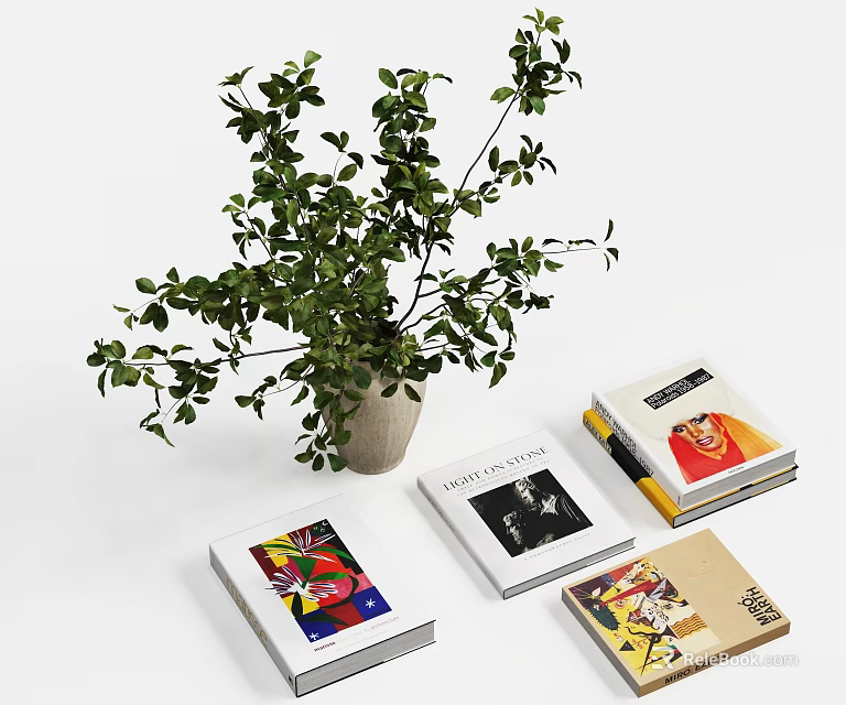 Elegant Decorative Ornament Set With Potted Green Plant And Stacked Books 3d model 