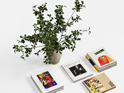 Elegant Decorative Ornament Set With Potted Green Plant And Stacked Books 3d model