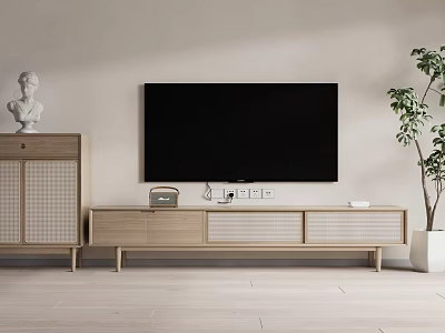 Minimalist Wooden TV Stand With Woven Panels And TV Near Decorative Statue Plant 3d model