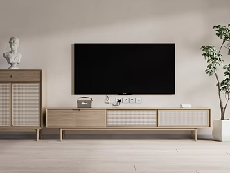 Nordic TV Cabinet Side Cabinet Decoration Cabinet Potted Plant 3d model