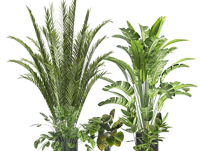 Bonsai Potted Plants With Various Green Leafy Species And Decorative Pots 3d model